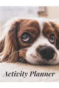 Activity Planner