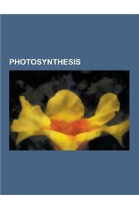 Photosynthesis: Chloroplast, Carbon Cycle, Cyanobacteria, Carbon Sink, Stoma, Plastid, Phosphate Reaction, Nicotinamide Adenine Dinucl