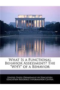What Is a Functional Behavior Assessment? the Why of a Behavior