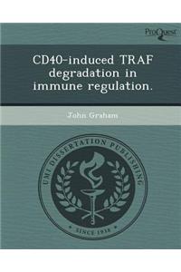 Cd40-Induced Traf Degradation in Immune Regulation