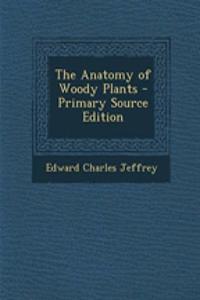 The Anatomy of Woody Plants - Primary Source Edition