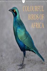 Colourful Birds of Africa 2018