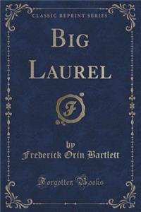 Big Laurel (Classic Reprint)