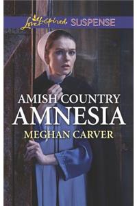 Amish Country Amnesia