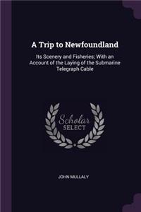 A Trip to Newfoundland