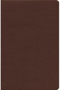 Heirloom Thinline Bible-ESV-Art Gilded