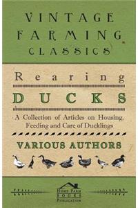 Rearing Ducks - A Collection of Articles on Housing, Feeding and Care of Ducklings