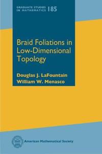 Braid Foliations in Low-Dimensional Topology