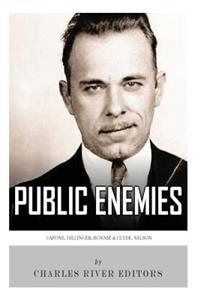 Public Enemies