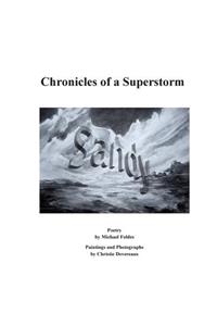 SANDY Chronicles of a Superstorm