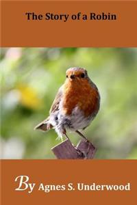 The Story of a Robin