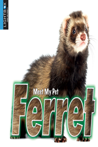 Ferret