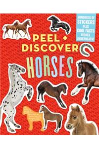 Peel + Discover: Horses