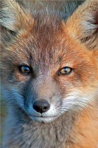 Red Fox Notebook & Journal. Productivity Work Planner & Idea Notepad