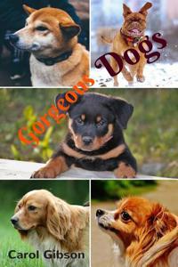 Gorgeous Dogs