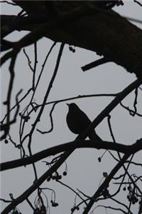 Silhouette of a Bird on a Tree Journal