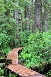 A Tranquil Pathway Through the Rainforest Journal