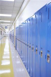School Journal Locker Row