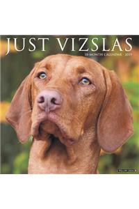 Just Vizslas 2019 Wall Calendar (Dog Breed Calendar)