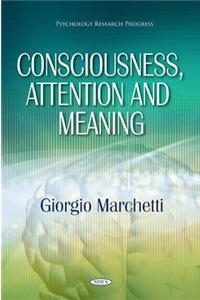 Consciousness, Attention & Meaning