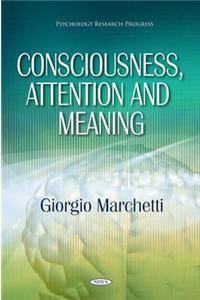 Consciousness, Attention & Meaning