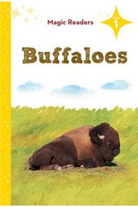 Buffaloes: Level 1