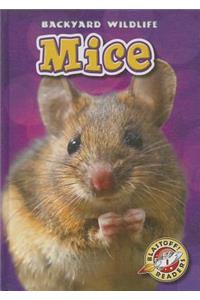 Mice