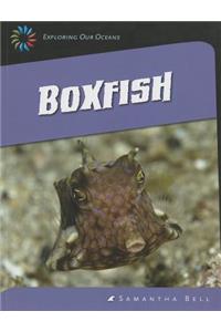 Boxfish