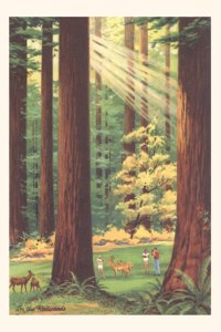 Vintage Journal Redwoods Scene with People and Deer