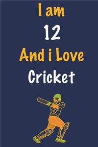 I am 12 And i Love Cricket