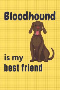 Bloodhound is my best friend