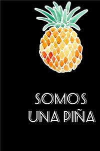 Somos una piña