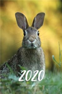 2020 Weekly & Monthly Planner