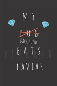 My Dachshund Eats Caviar Planner: Weekly Organizer Book with Lined Journal for Reflection (50 weeks, 6x9, 106 pages, undated) Includes 50 Interesting Facts About Dachshunds!