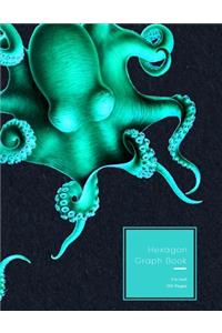 Hexagon Graph Book