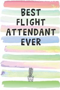 Best Flight Attendant Ever