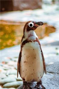 Googly Eye Penguin Journal