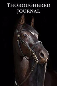 Thoroughbred Journal