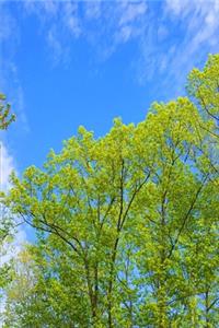 2020 Weekly Planner Blue Sky Over Spring Trees 134 Pages