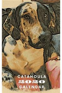 Catahoula 2020 Calendar