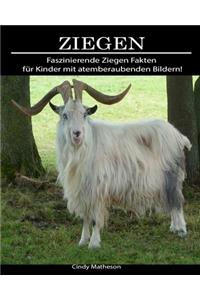 Ziegen