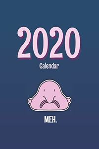 Blobfish 2020 Calendar