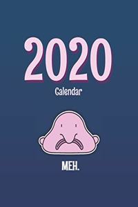 Blobfish 2020 Calendar
