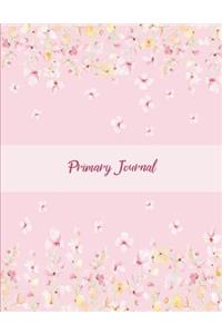 Primary Journal