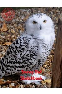 Snowy Owl Sketchbook