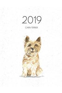 2019 Cairn Terrier