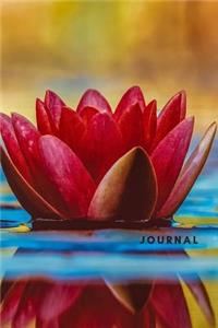 Journal