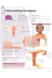 Understanding Menopause Paper Poster