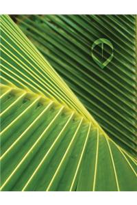 Palm Leaf Grid Sketchbook