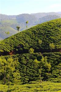 Beautiful Tea Plantation in India Journal